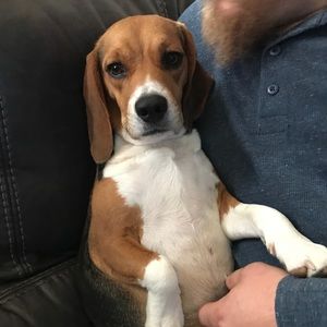 Meet your Posher, Katerra